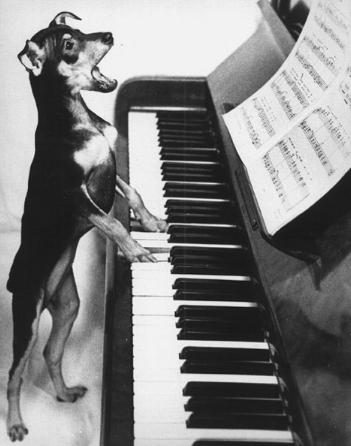 Devon Piano